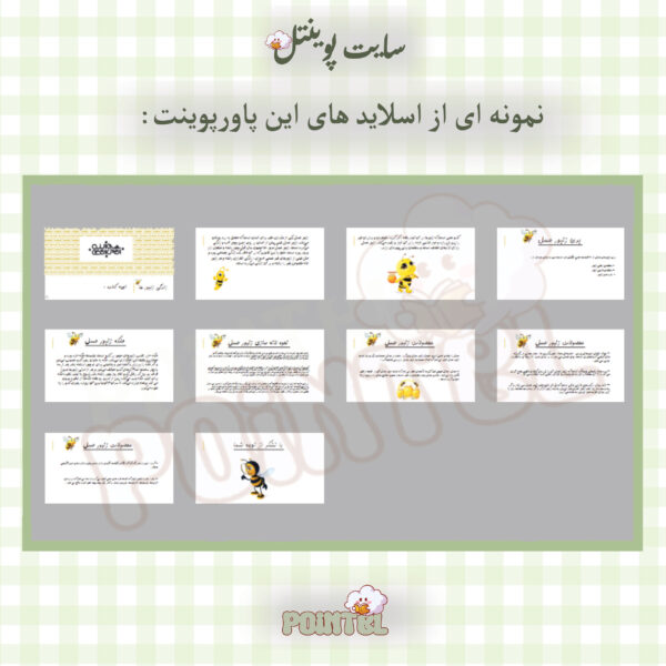پاورپوینت تحقیق درباره زنبور عسل - تصویر 2