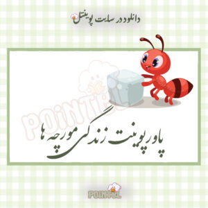 پاورپوینت تحقیق زندگی مورچه ها