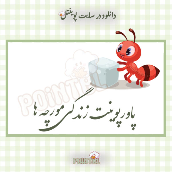 پاورپوینت تحقیق زندگی مورچه ها